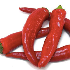 Guajillo - 4