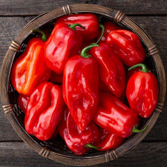 Habanero - 4