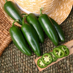 Jalapeno Jedi - 4