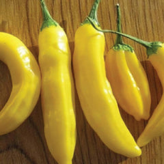 Lemon Drop - 4