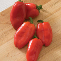Lunch Box Red - 4
