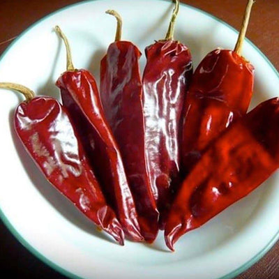Mira Sol - 4" Pot