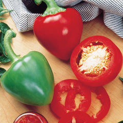Pimento - 4