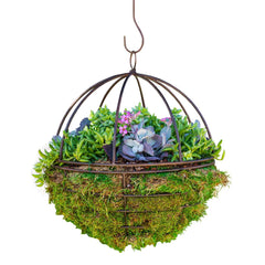 Succulents in Metal Orb - 12
