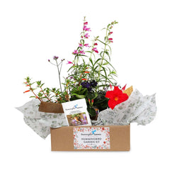 Hummingbird Gardening Kit