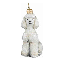 Toy Poodle White