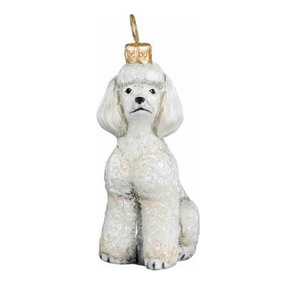 Toy Poodle White