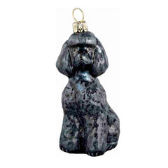 Toy Poodle Black