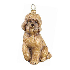 Labradoodle Brown