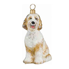 Goldendoodle