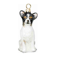 Chihuahua Tri Color