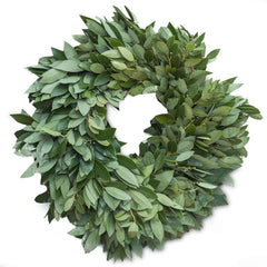 Fresh Bay Leaf Wreath - 24