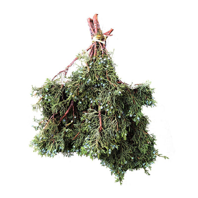 Berried Juniper Bunch