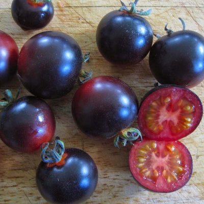 Dancing with Smurfs - 4" Pot