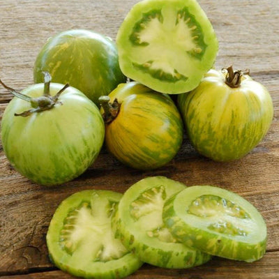 Green Zebra - 4" Pot