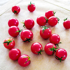 Sweet Treats - 1 Gallon