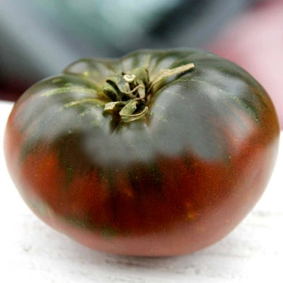 Vorlon - 4" Tomato
