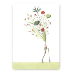 Seed Head The Gardener