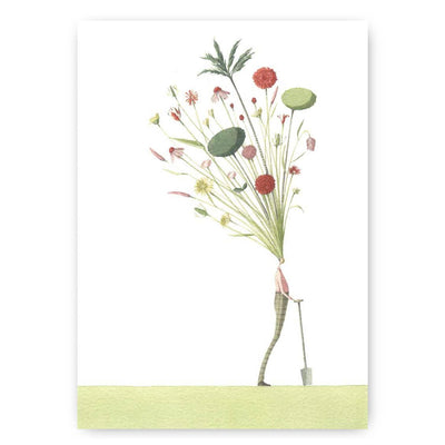 Seed Head The Gardener