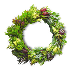 Leucadendron Wreath 12