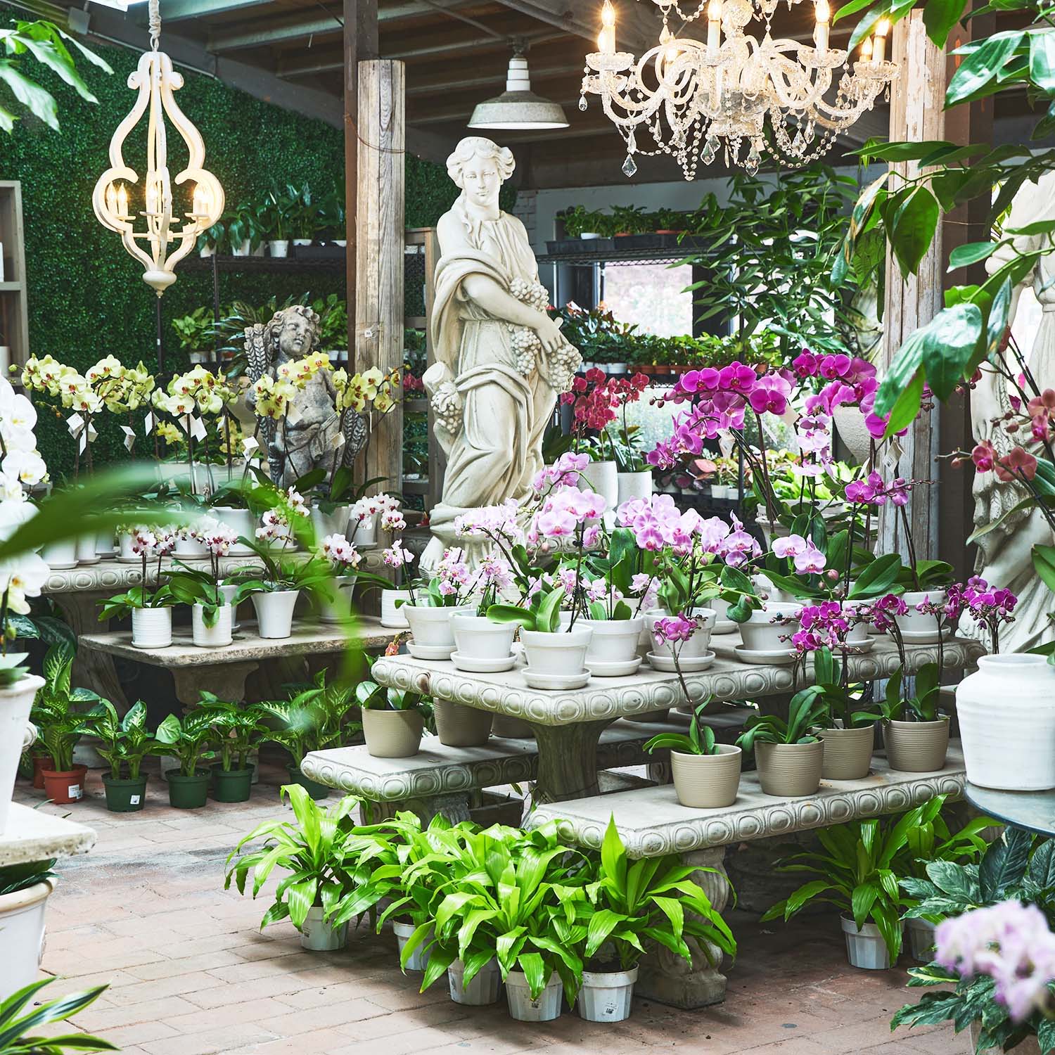 Indoor Planted Arrangements – Roger's Gardens