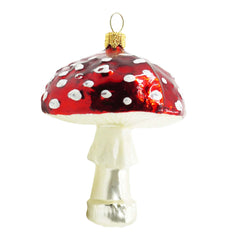 Small Shiny Red Mushroom