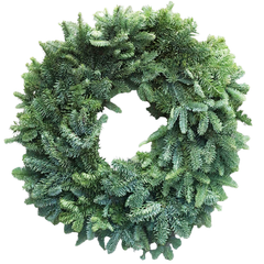 Plain Noble Wreath 20