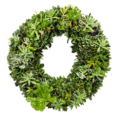 Living Succulent Wreath 18