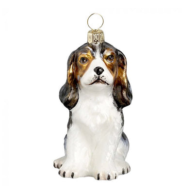 Cavalier Puppy Tri Color