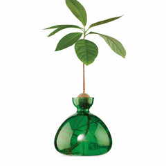 Avocado Vase - Emerald Green - 6