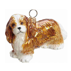 Cavalier King Charles Blenheim