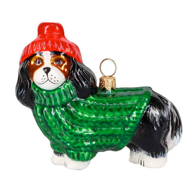 Cavalier King Tri In Sweater