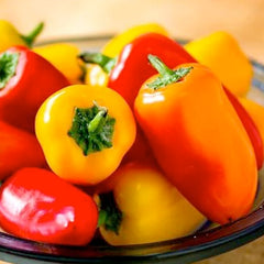 Roumanian Rainbow - 4