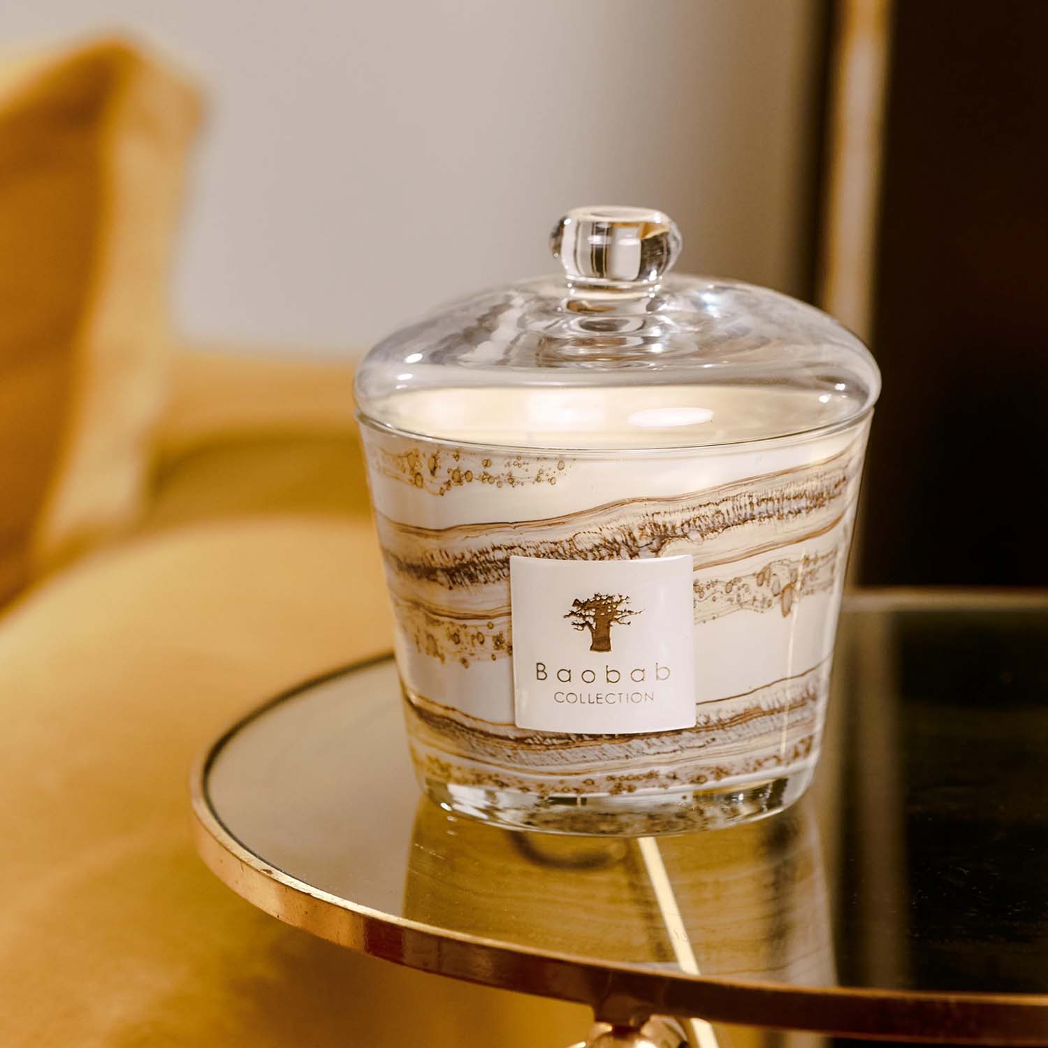 Baobab Candle Cloche MAX16 – Roger's Gardens