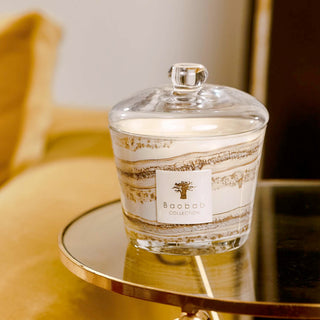 Baobab Candle Cloche MAX16 – Roger's Gardens