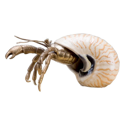 Porcelain Brown & White Hermit Crab Shell