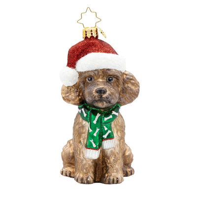 The Posh Poodle