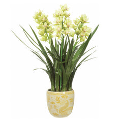 Faux Soft Green Cymbidium Orchids in Painted Porcelain