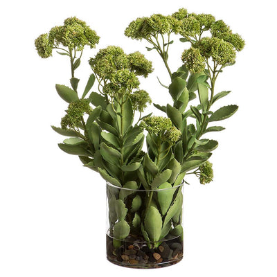 Faux Sedum Branches in Glass Vase