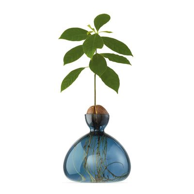 Avocado Vase - Blue Jay - 6" Tall