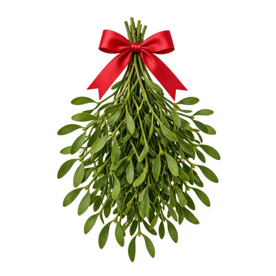 Mistletoe