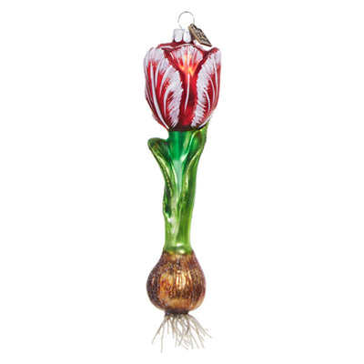 Tulip Bulb - 6.5"