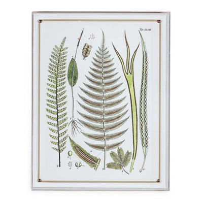 Ferns Panel #195 - 26"x20"