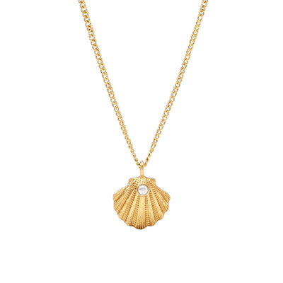 Shell Delicate Necklace
