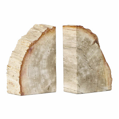 Petrified Bookend Pair