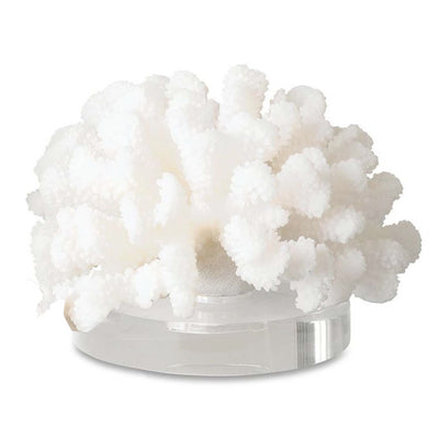 Hard Coral - Large