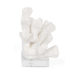 White Coral Bookend