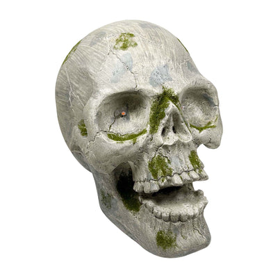 Skull Head with LED Lighting - 12" Tall