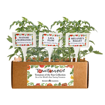 TOMATOES OF THE YEAR BOXED COLLECTION