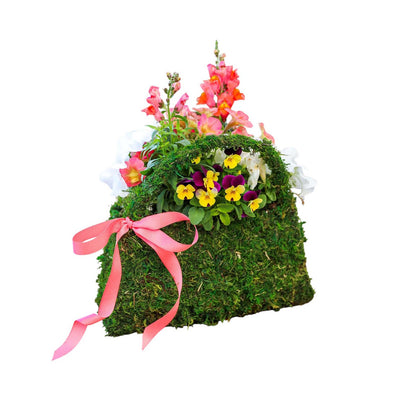 Seasonal Sun Color in Moss Purse